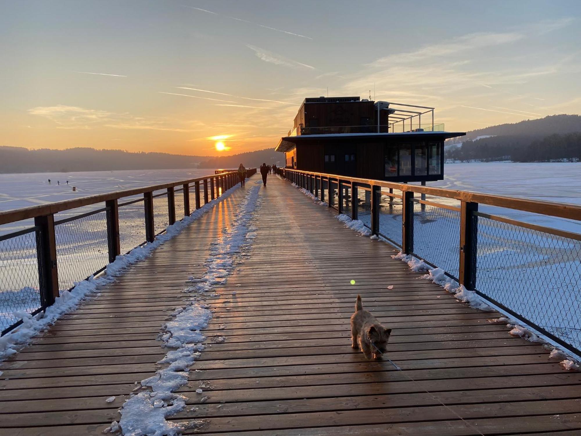 Apartman Verca Riviera Lipno 510 Lipno nad Vltavou Eksteriør bilde